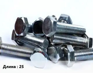 Болт 25
